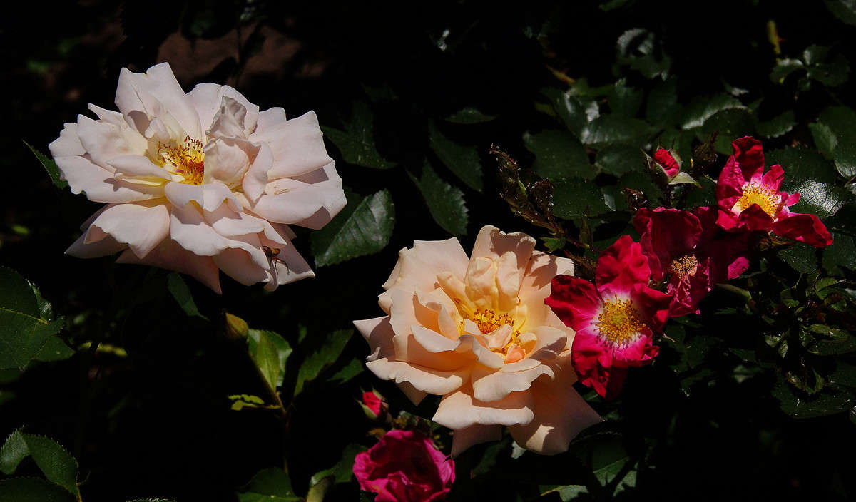 ������� ��������� ����� �������  �� PhotoGeek.ru #������ ��� �������