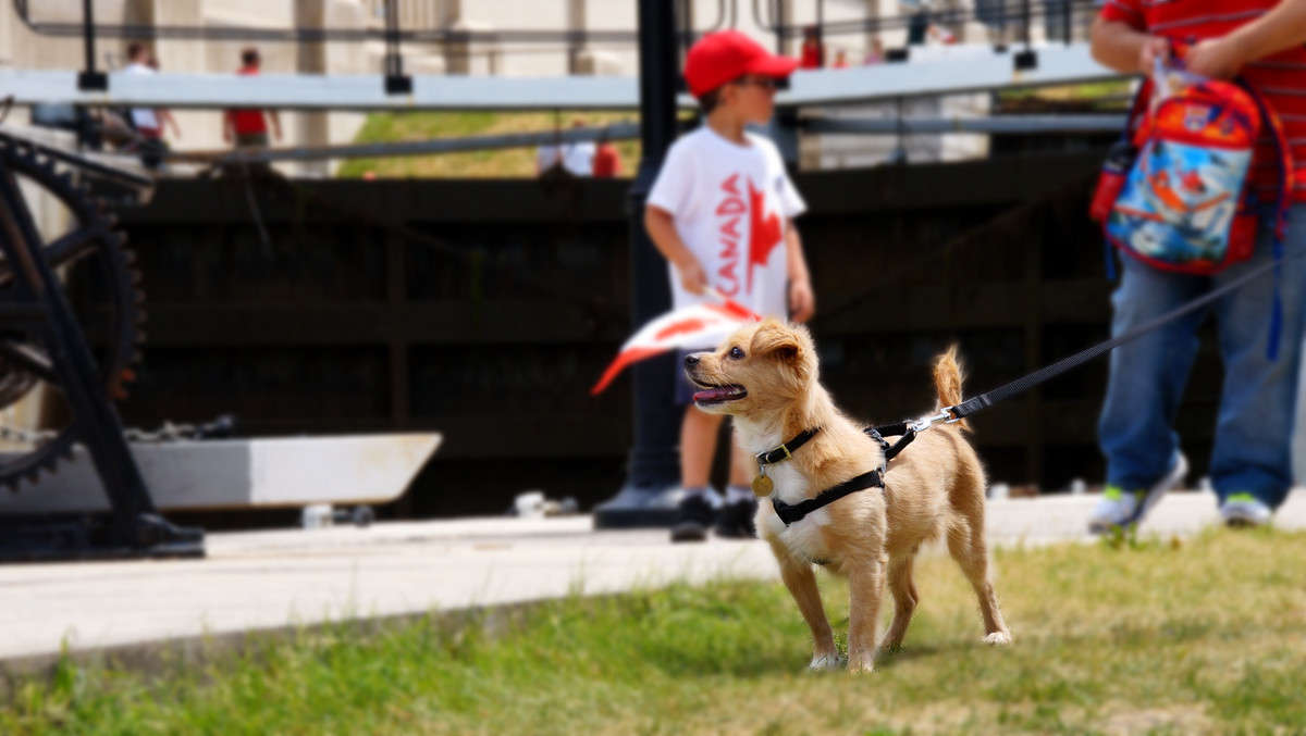 ������� ������������ ����� �������  �� PhotoGeek.ru #�������� ����������