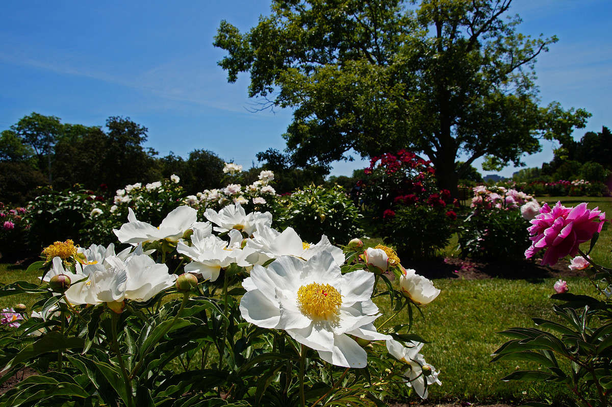 ��������� ��� ���������� ����� �������  �� PhotoGeek.ru #������ ��� �������