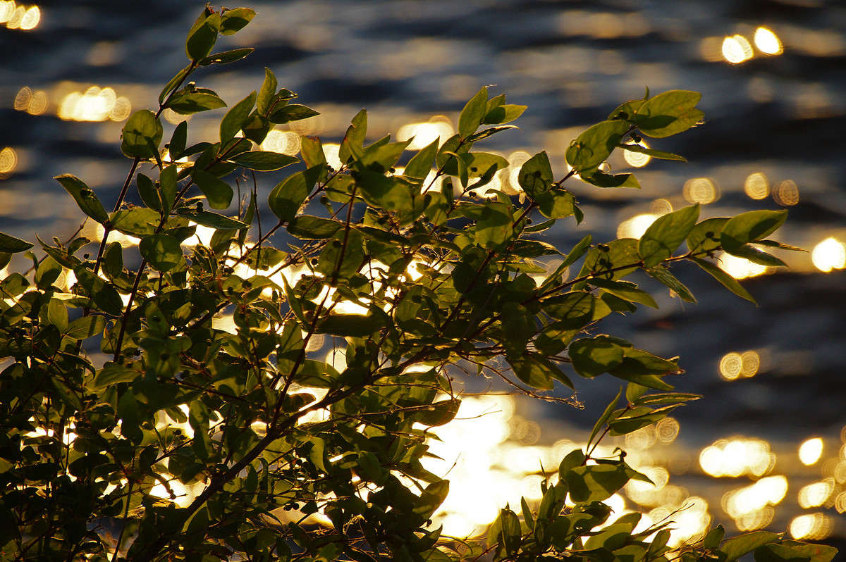 ��������� �������� ����� �������  �� PhotoGeek.ru #������ ��� �������