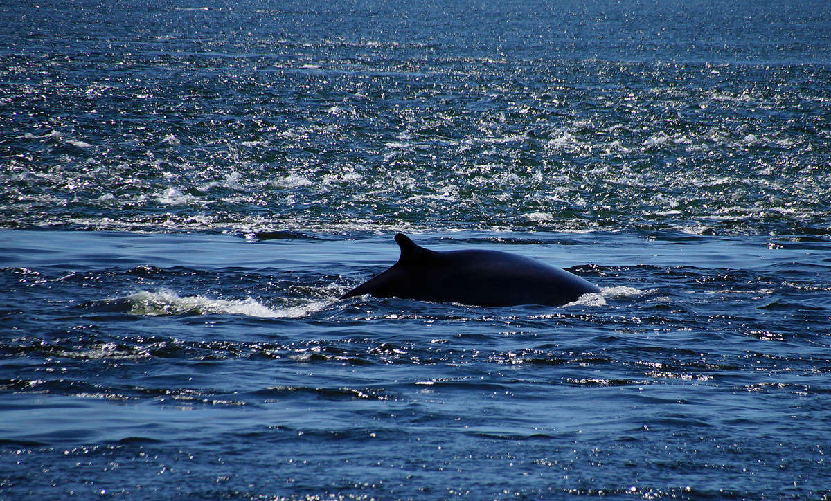 � ����� - ������ ����� �������  �� PhotoGeek.ru #�������� ���