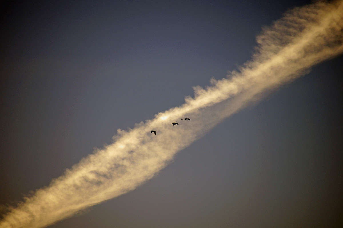 ����� ̸����� ����� �������  �� PhotoGeek.ru #������ ��� �������