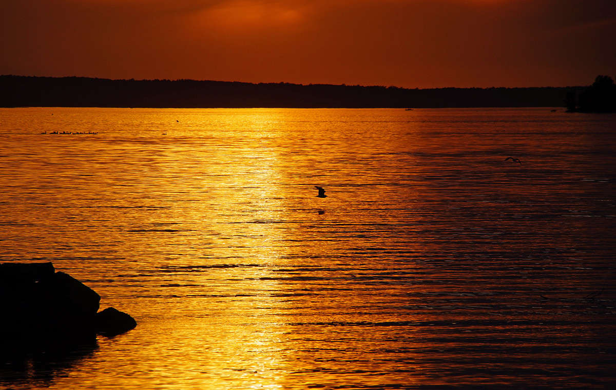 ���� ����� ���� �� ����� ������� ����� �������  �� PhotoGeek.ru #������ ��� �������