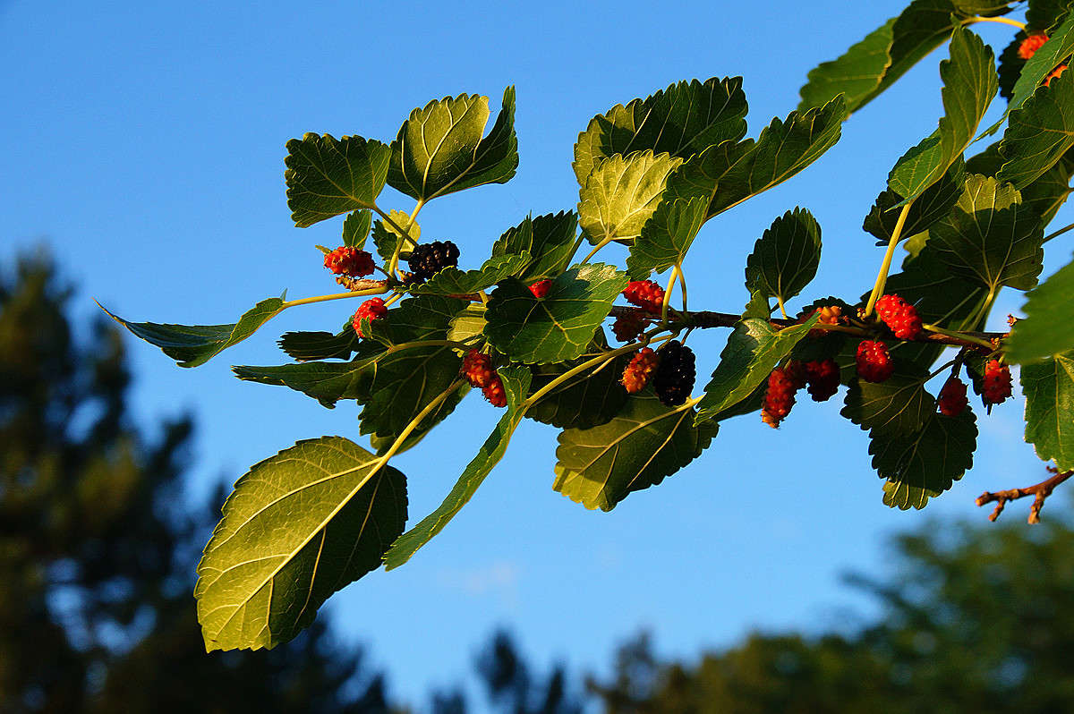 ������? ����� �������  �� PhotoGeek.ru #������ ��� �������