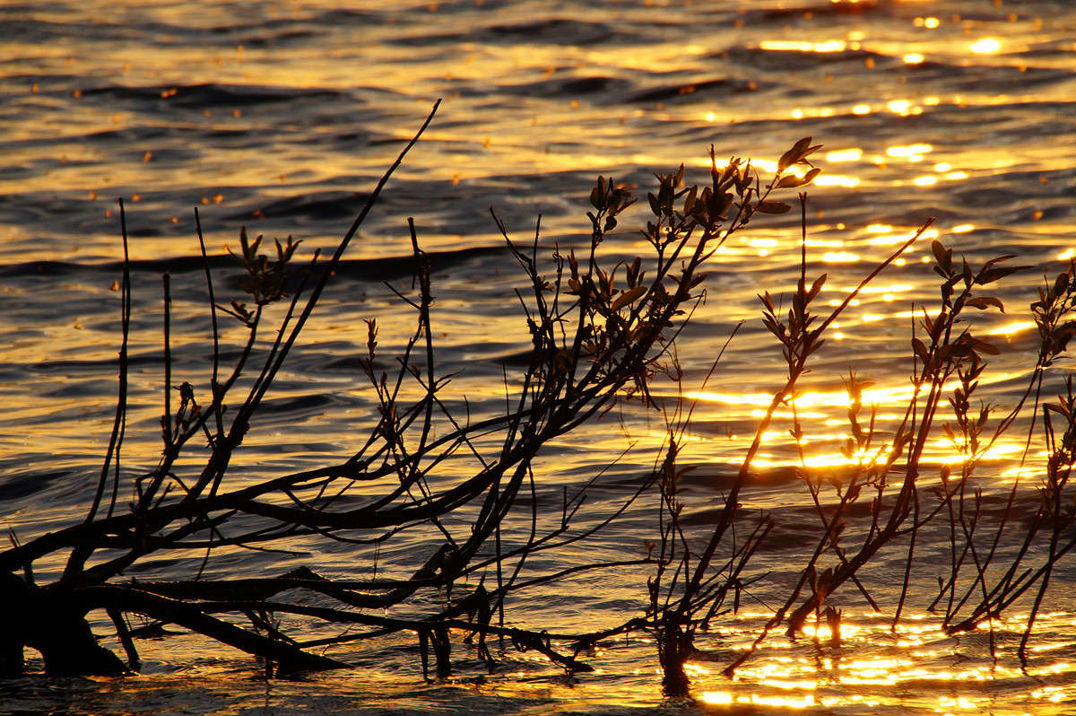 ����� �������� ����� �������  �� PhotoGeek.ru #������ ��� �������