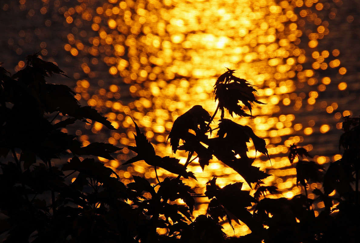 ���� ������������ ����... ����� �������  �� PhotoGeek.ru #������ ��� �������