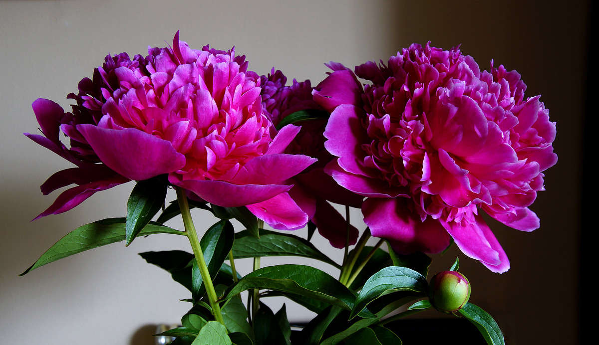 ������������ ����� �������  �� PhotoGeek.ru #������ ��� �������