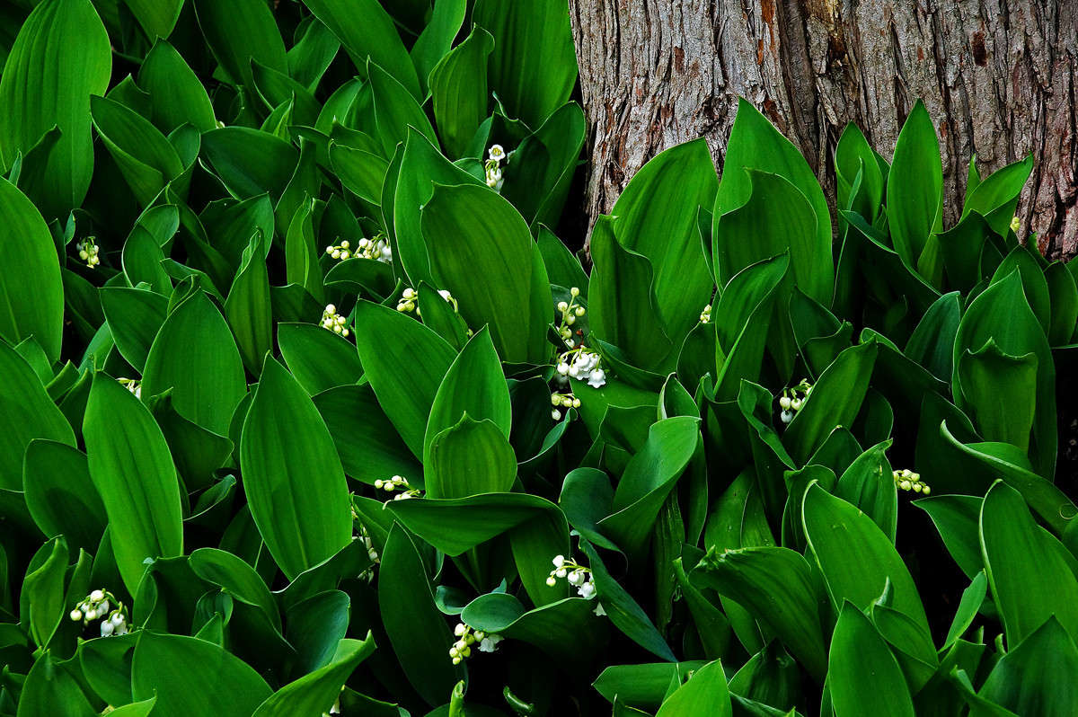 ��� ����� ��� ����� �������  �� PhotoGeek.ru #������ ��� �������