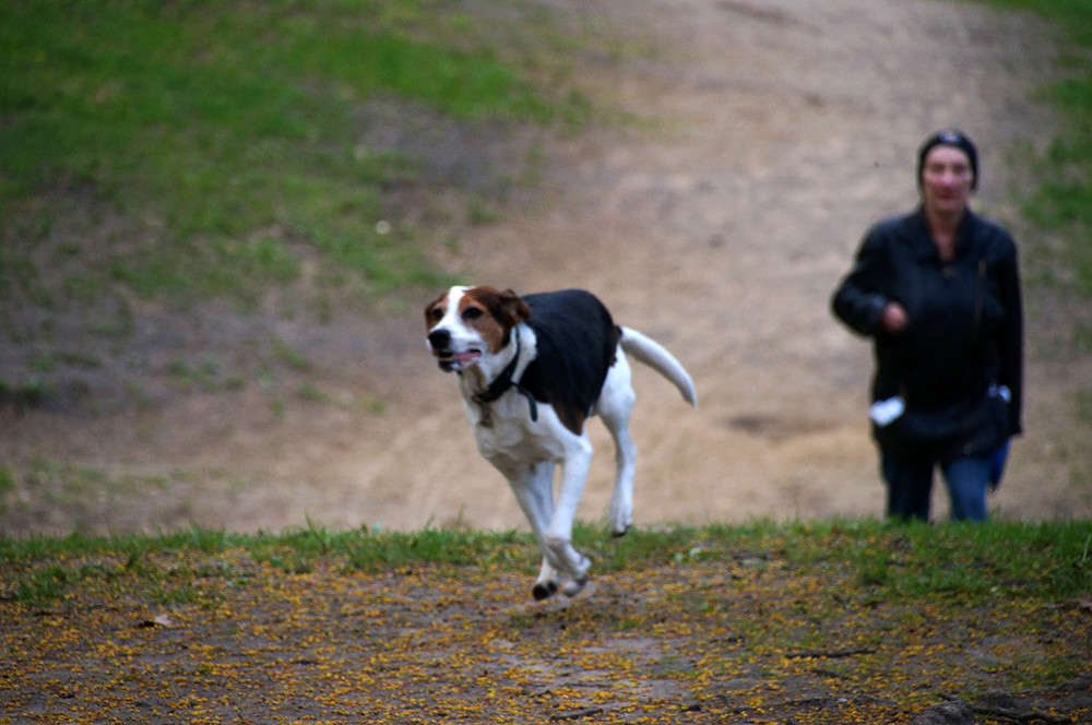 ������� �� ������� ����� �������  �� PhotoGeek.ru #�������� ���