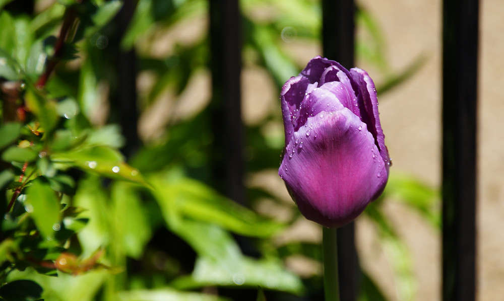����� ���������� ������ ����� �������  �� PhotoGeek.ru #������ ��� �������
