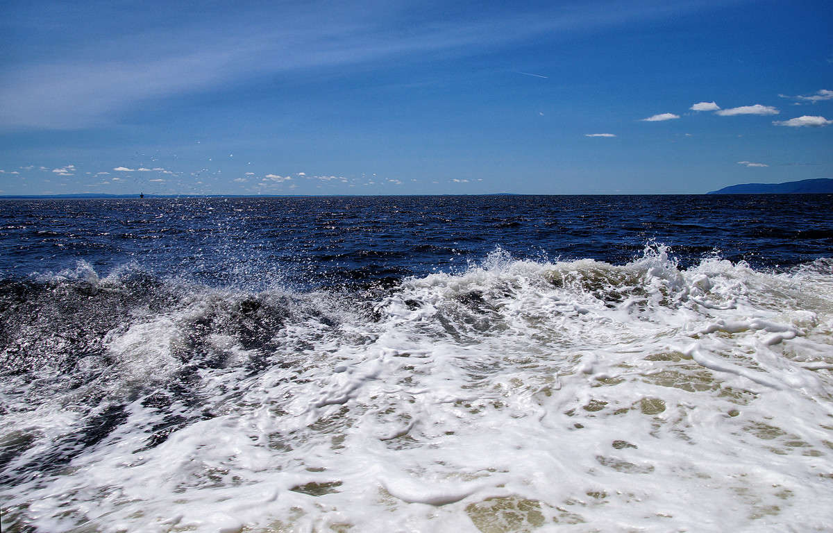 �� ��� ���� ����� �������  �� PhotoGeek.ru #������ ��� �������