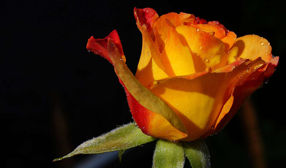 ����� ��� � ��� ������ ����� �������  �� PhotoGeek.ru #������ ��� �������