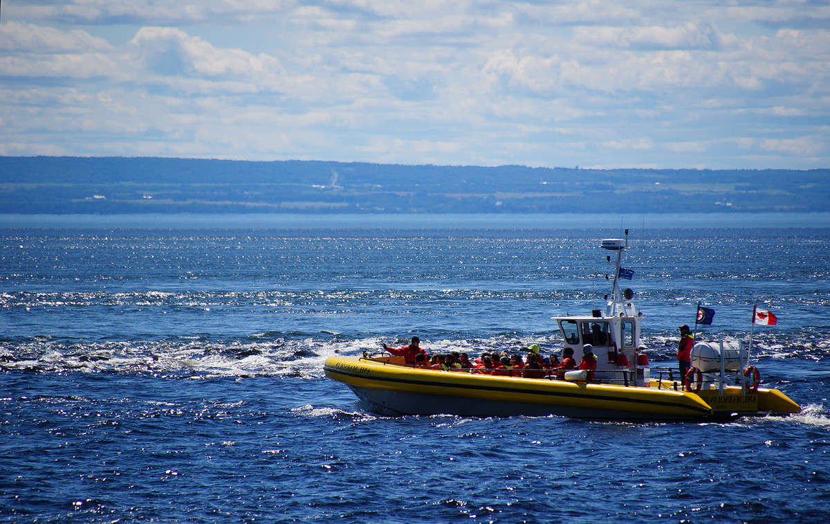 ����� ������� ������� ����� �������  �� PhotoGeek.ru #������ ��� �������