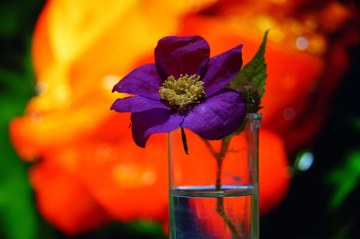 � ������ �������� ����� �������  �� PhotoGeek.ru #�������� ����������