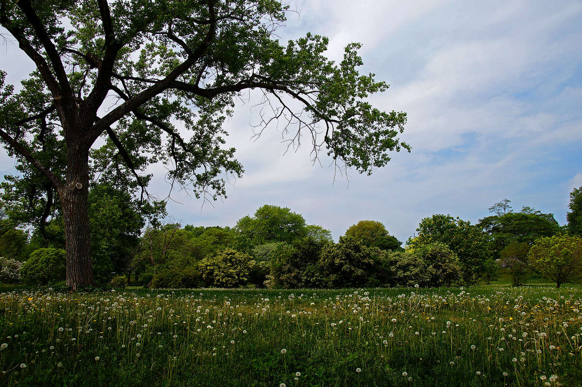 ������ ������� ����� �������  �� PhotoGeek.ru #������ ��� �������