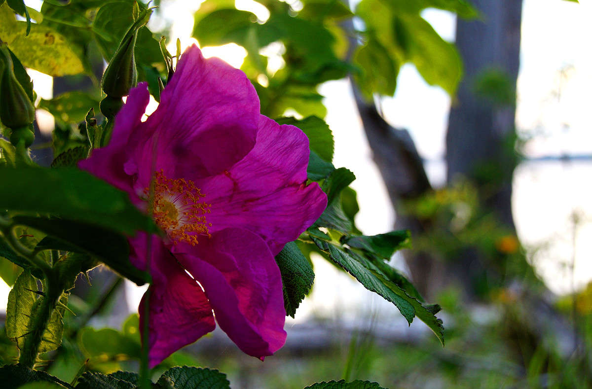 � �������� ���� ����� �������  �� PhotoGeek.ru #������ ��� �������