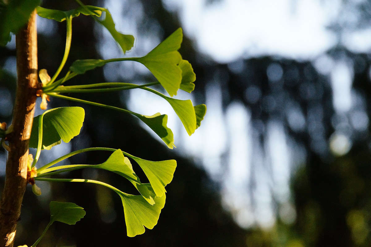 ������ �������� ������� ����� �������  �� PhotoGeek.ru #������ ��� �������