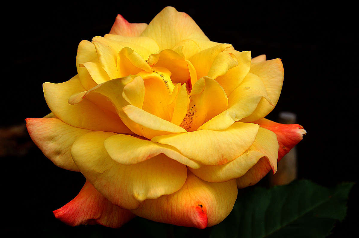 ������ ����� �������  �� PhotoGeek.ru #������ ��� �������