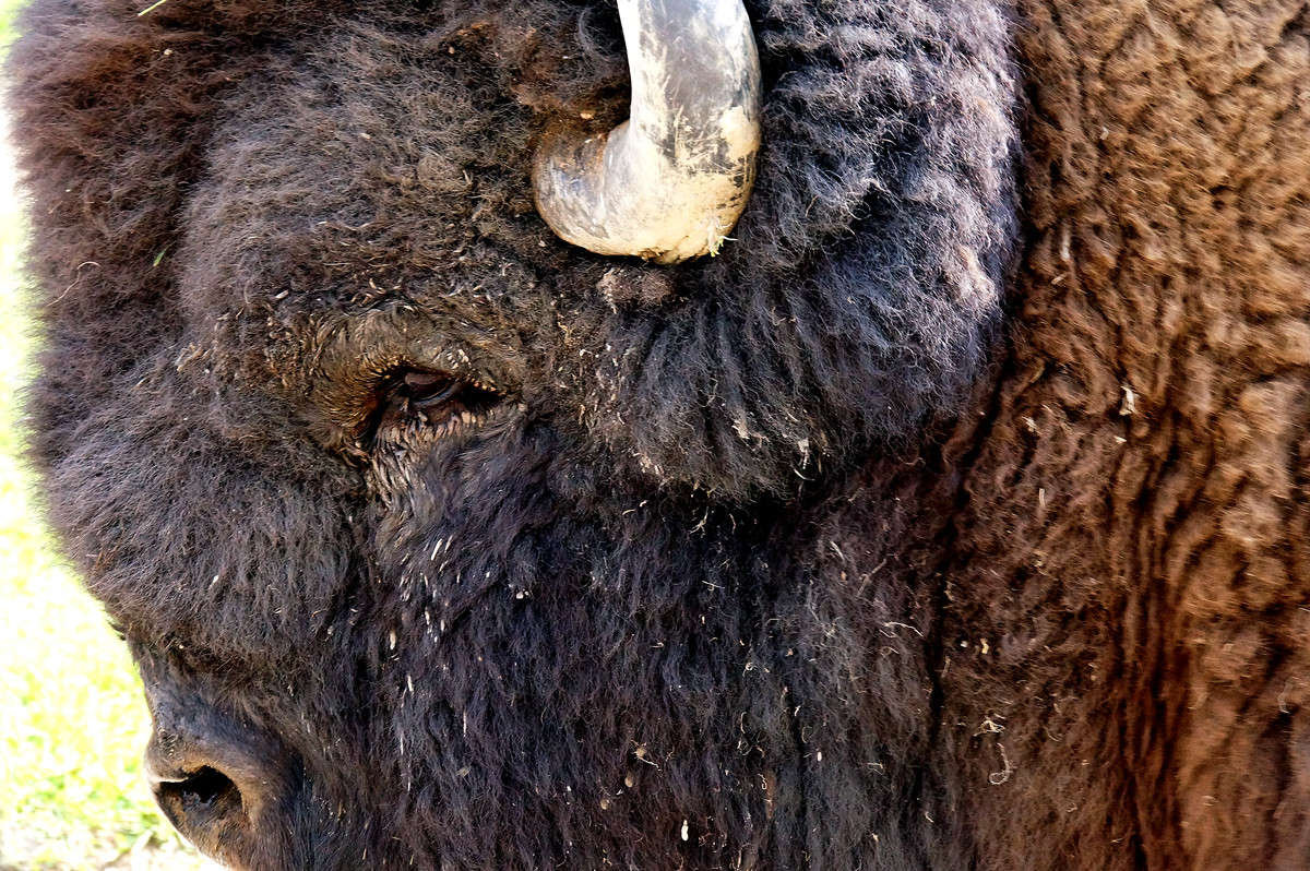 ����� ����� �������  �� PhotoGeek.ru #�������� ���