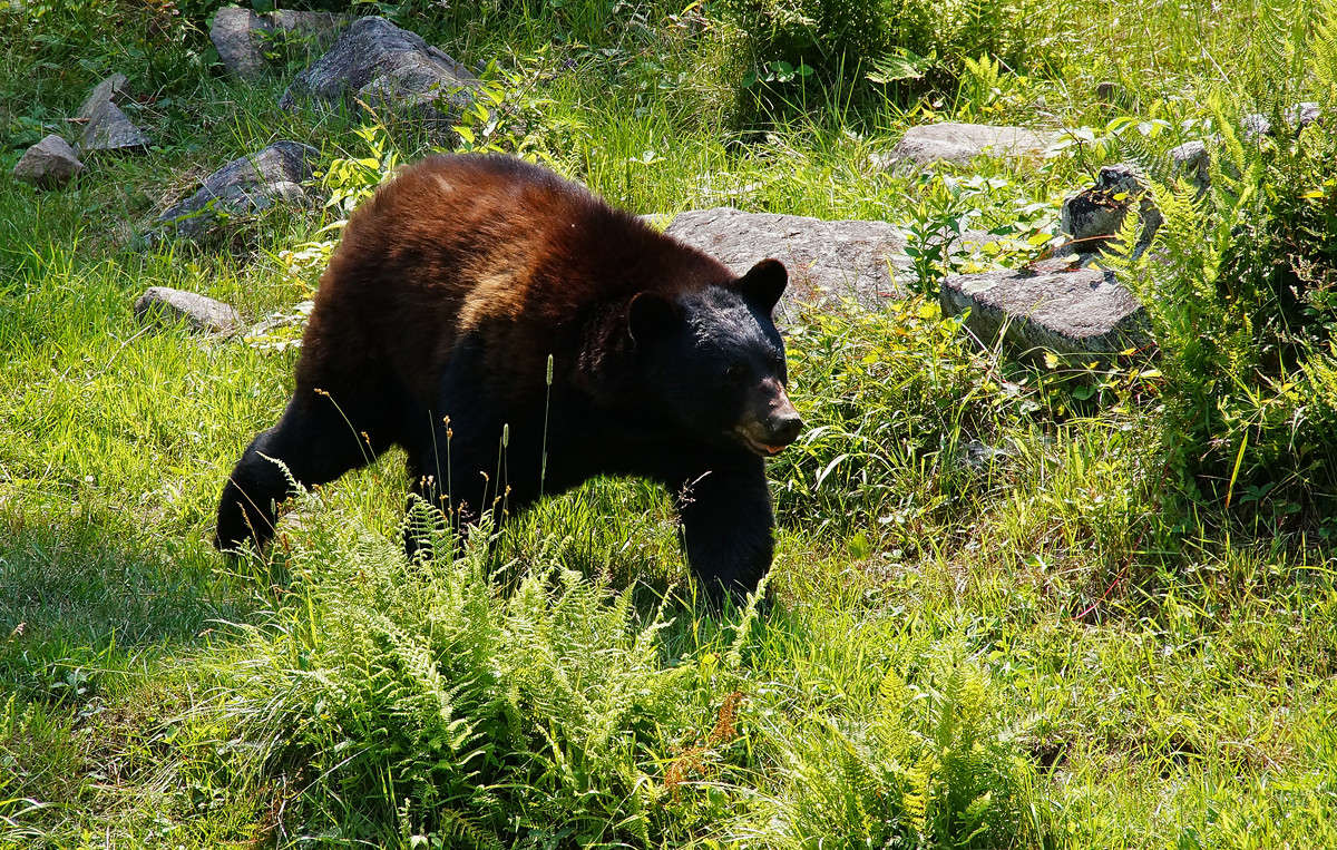 ˸���� �������� ����� �������  �� PhotoGeek.ru #������ ��� �������