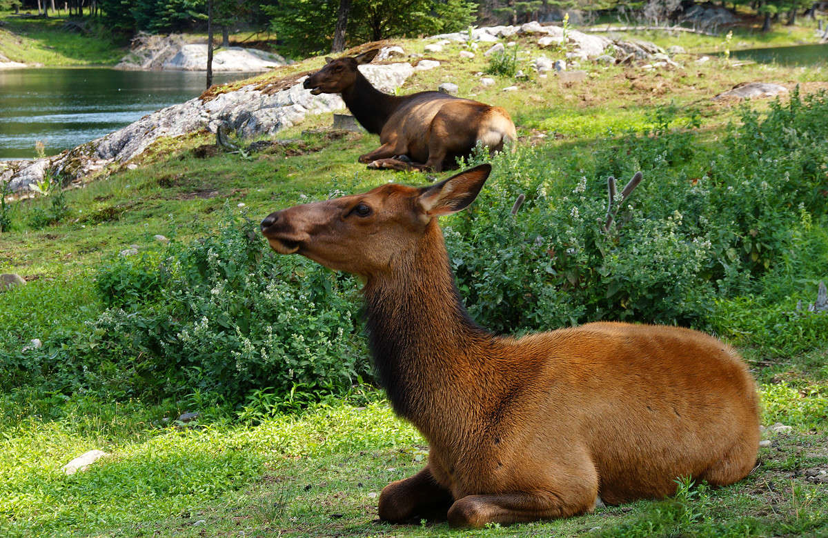 ����� ����� ����� ����� �������  �� PhotoGeek.ru #�������� ���