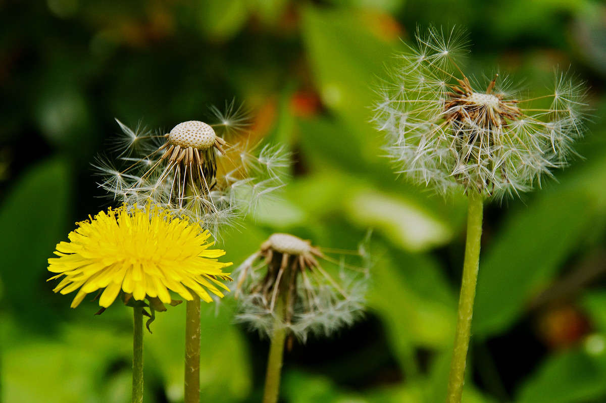 �� ��� ��������� ����� �������  �� PhotoGeek.ru #������ ��� �������