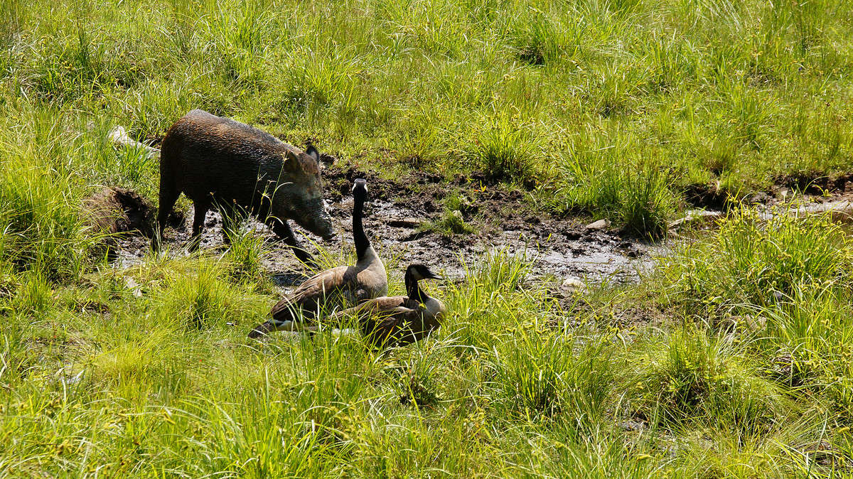 �������� ���� �������� ����� �������  �� PhotoGeek.ru #�������� ���