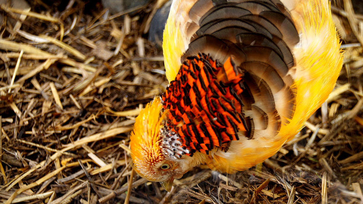 ������� ����� �������  �� PhotoGeek.ru #�������� ���