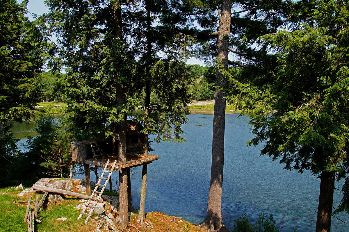 ��� ������� ����� �������  �� PhotoGeek.ru #������ ��� �������