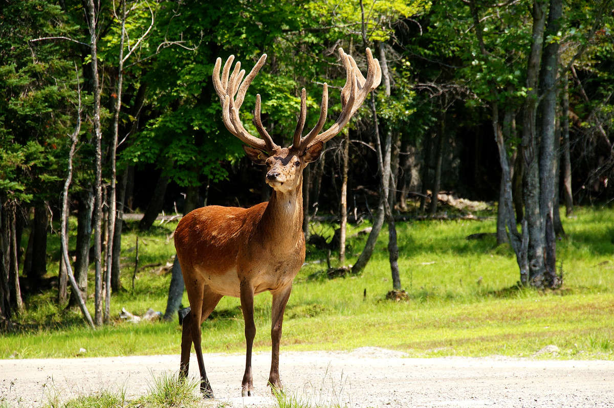 ����� ���������� ����� �������  �� PhotoGeek.ru #�������� ���