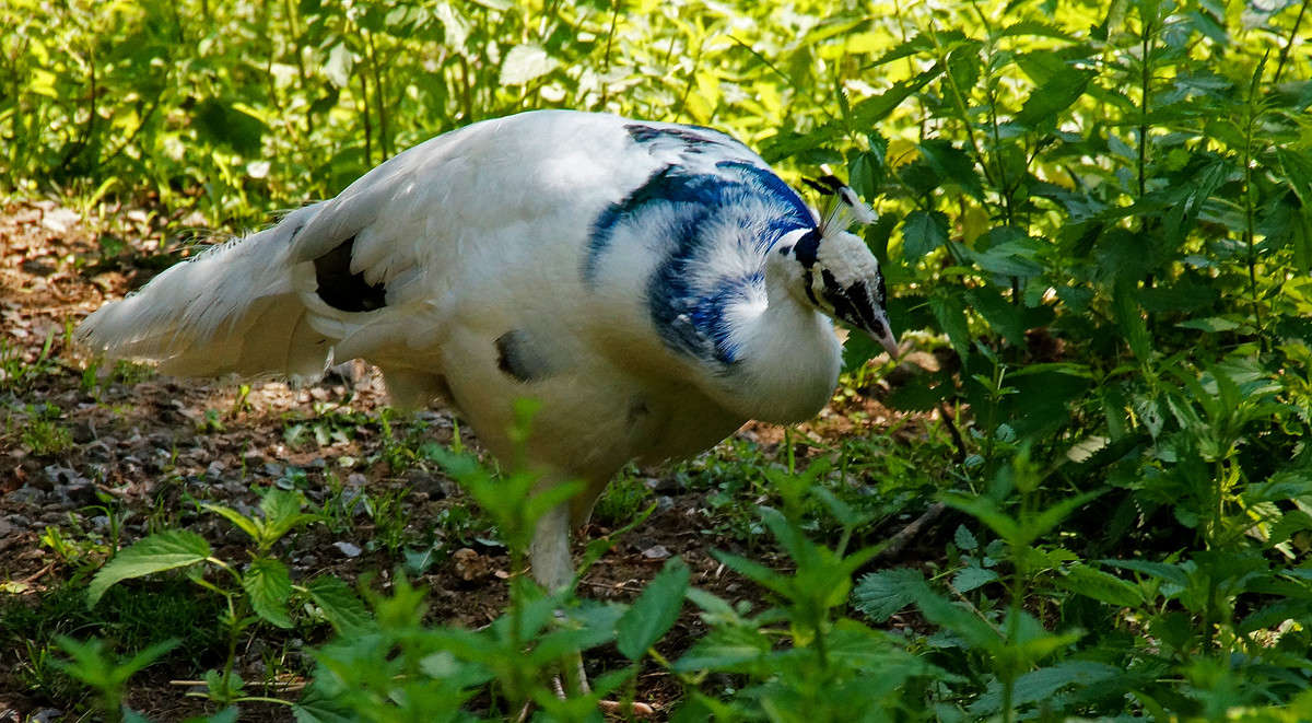 ��� ����� �������  �� PhotoGeek.ru #�������� ���