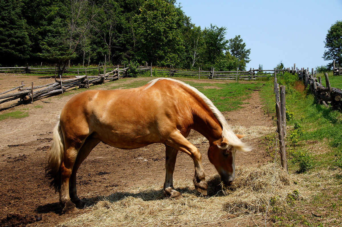 �������� ���� ����� �������  �� PhotoGeek.ru #�������� ���