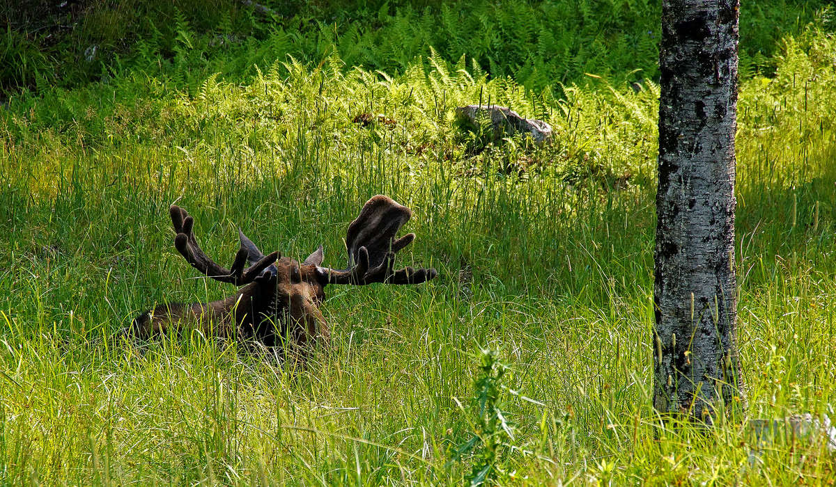 ���� ���� � �������� ����� �������  �� PhotoGeek.ru #�������� ���