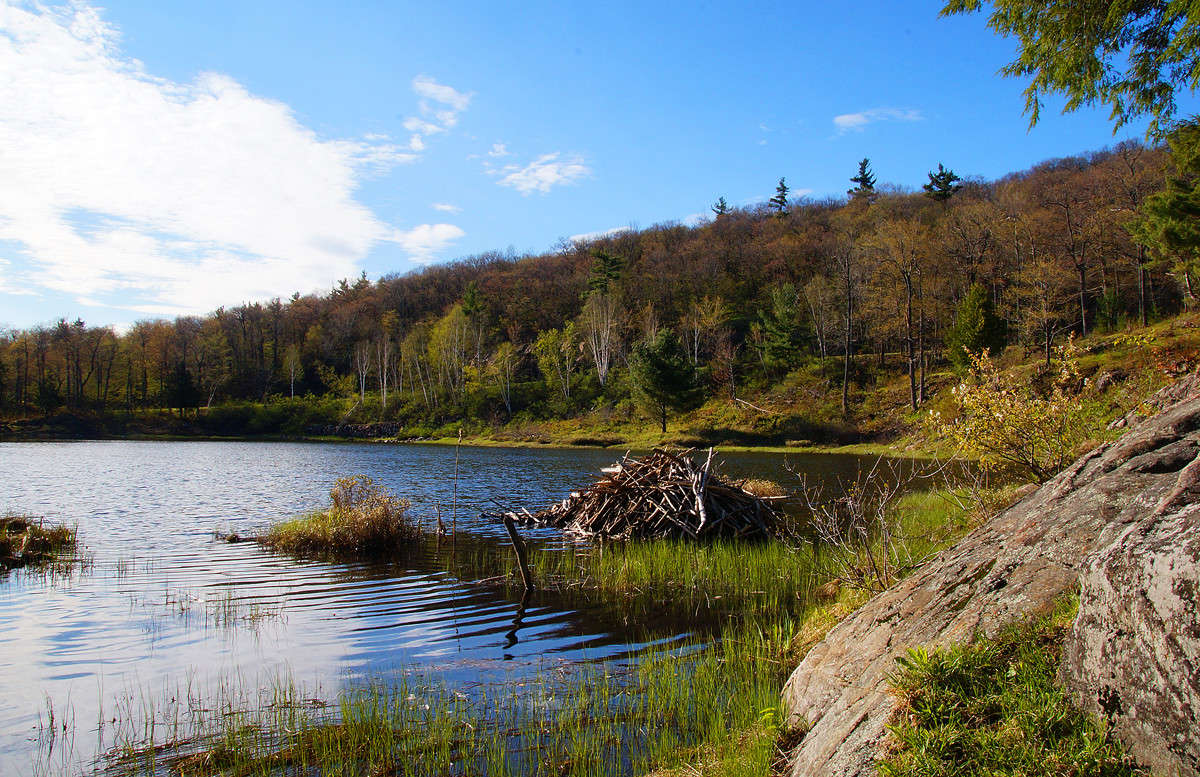 �������� ��� ����� �������  �� PhotoGeek.ru #������ ��� �������