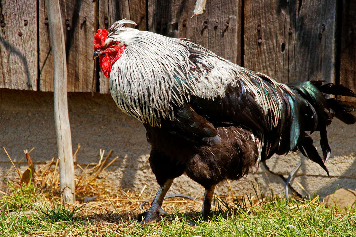 ������ ������ �� ������� ����� �������  �� PhotoGeek.ru #�������� ���