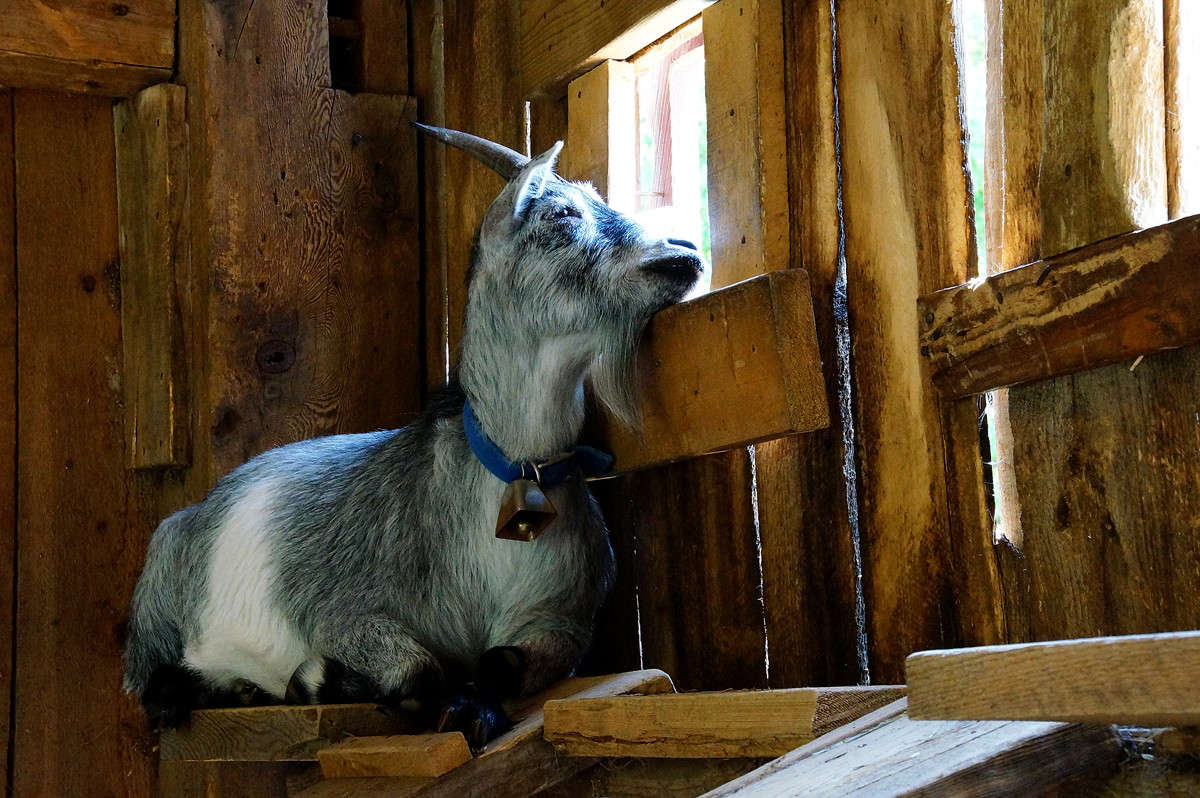 �� ��� ������ �����������... ����� �������  �� PhotoGeek.ru #�������� ���