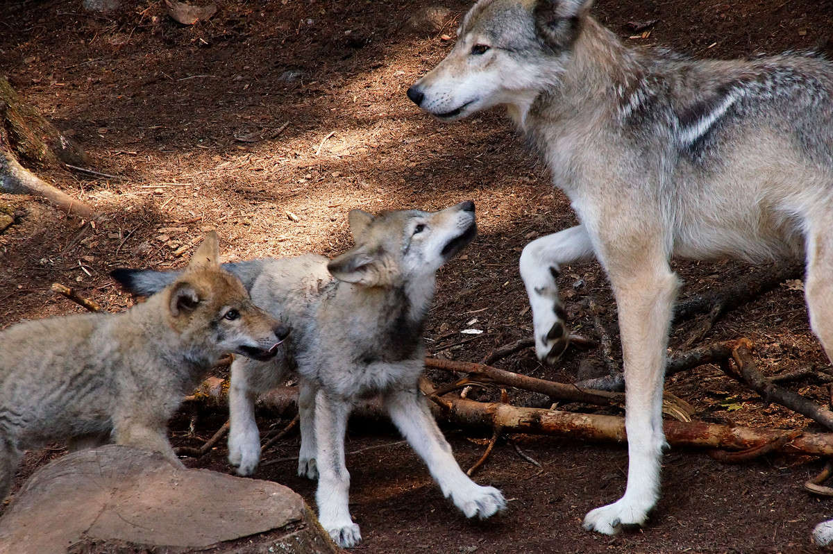 ���� ����� �������  �� PhotoGeek.ru #�������� ���