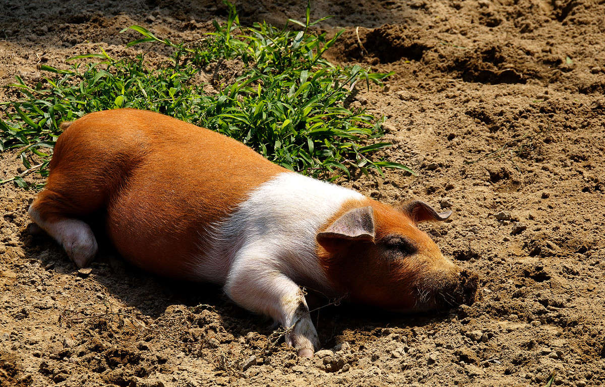 ��������� ����� �������  �� PhotoGeek.ru #�������� ���