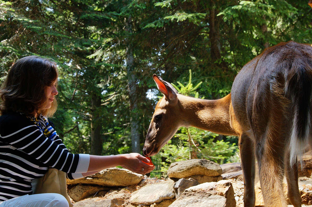 ������� ���� ����� ����� �������  �� PhotoGeek.ru #�������� ��� #�������� ����������