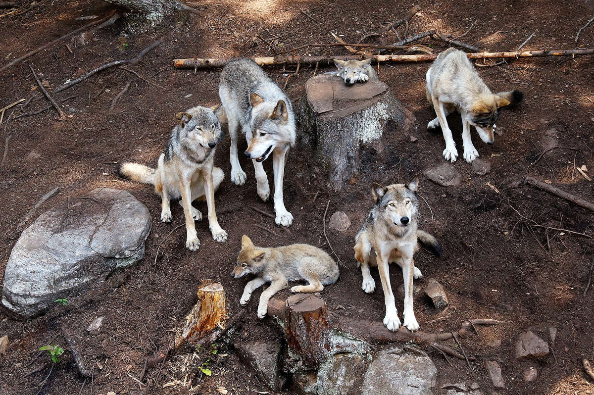 ��� ������� ���������? ����� �������  �� PhotoGeek.ru #�������� ��� #�������� ����������