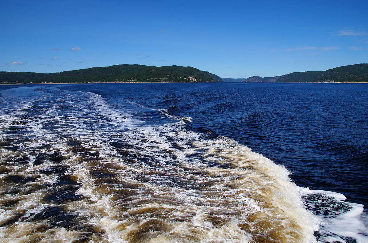 �� ������� ����� ����� �������  �� PhotoGeek.ru #������ ��� �������