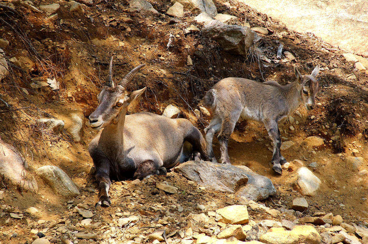 ������� ��� ����� �������  �� PhotoGeek.ru #�������� ���