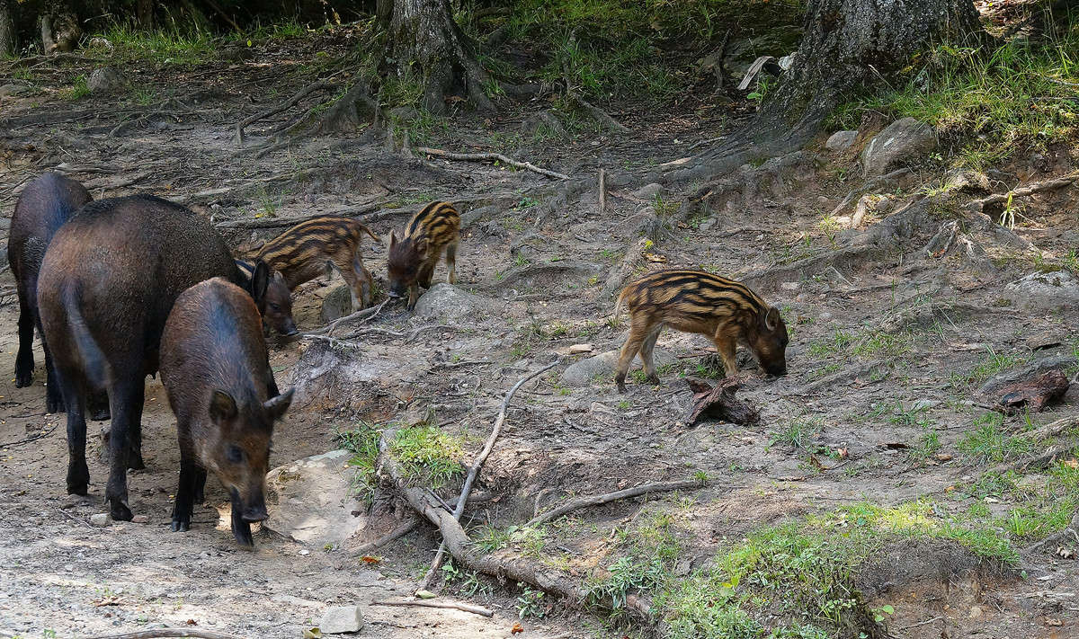 ����� ��������� ����� �������  �� PhotoGeek.ru #�������� ���