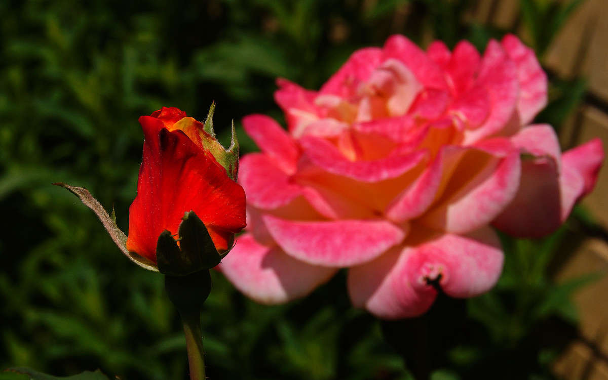 ������������ ���� ����� �������  �� PhotoGeek.ru #������ ��� �������