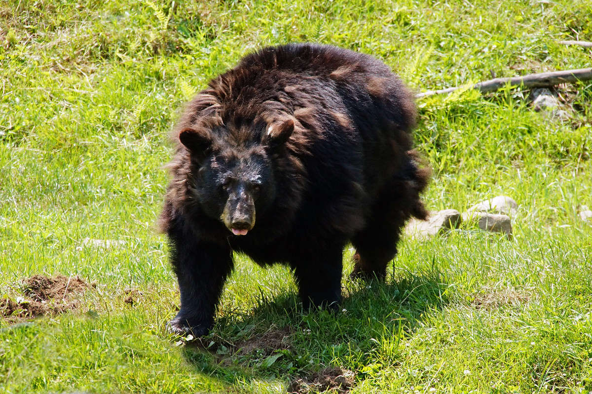 ����� ���������� �������� ����� �������  �� PhotoGeek.ru #�������� ���