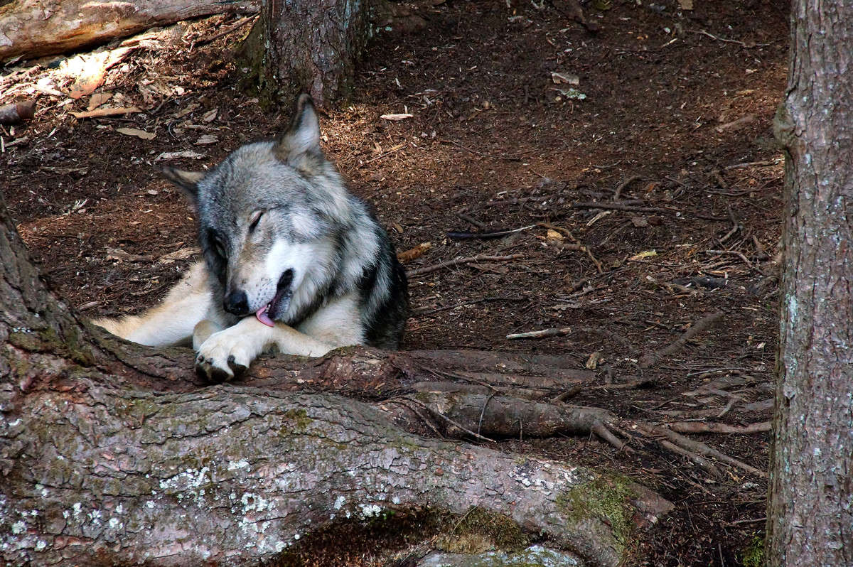 ����� ���� ����� ��������� ����� �������  �� PhotoGeek.ru #�������� ���