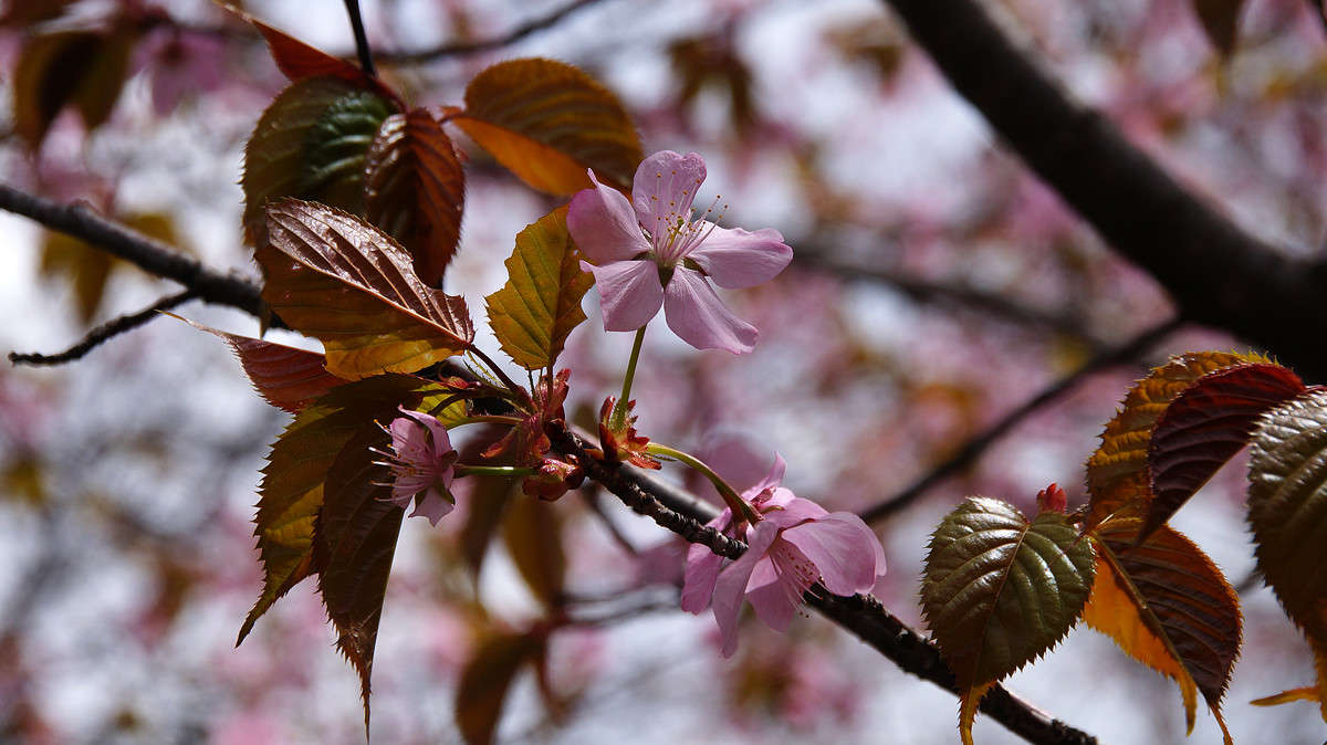 ������� � ������� ����� �������  �� PhotoGeek.ru #������ ��� �������