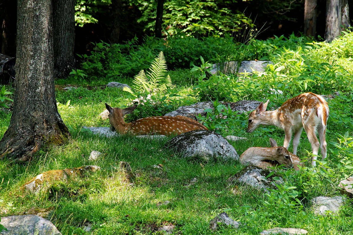 ����� ������������ ����� �������  �� PhotoGeek.ru #�������� ���