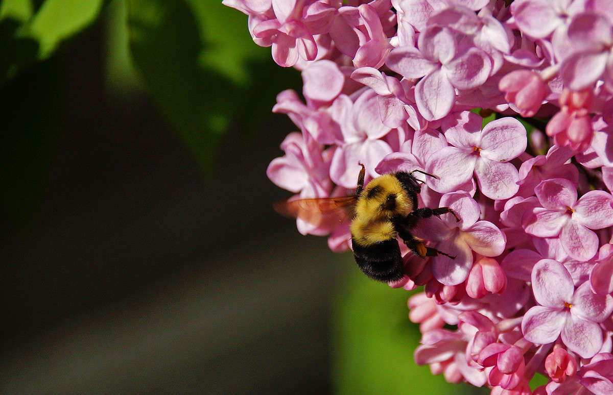 �������� ����� �������  �� PhotoGeek.ru #������ ��� �������