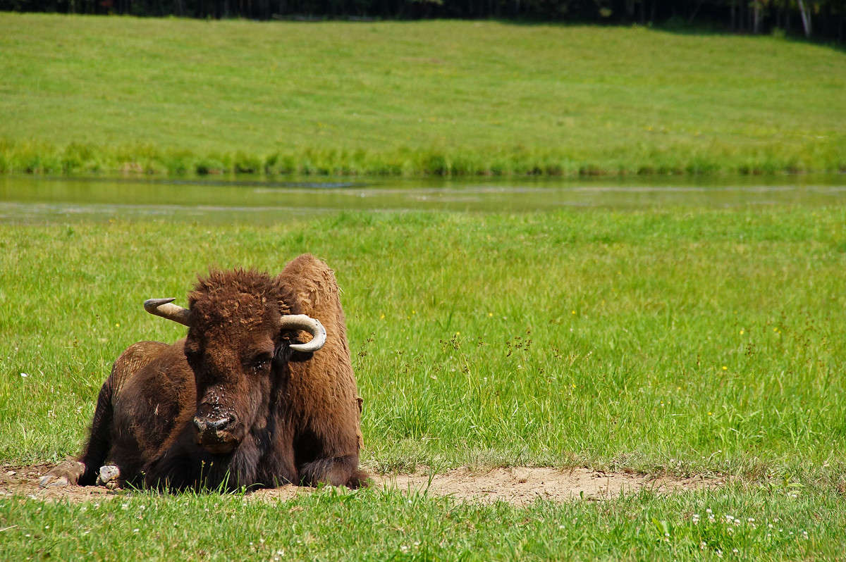 ����� ��� - ������������� ����� �������  �� PhotoGeek.ru #�������� ���